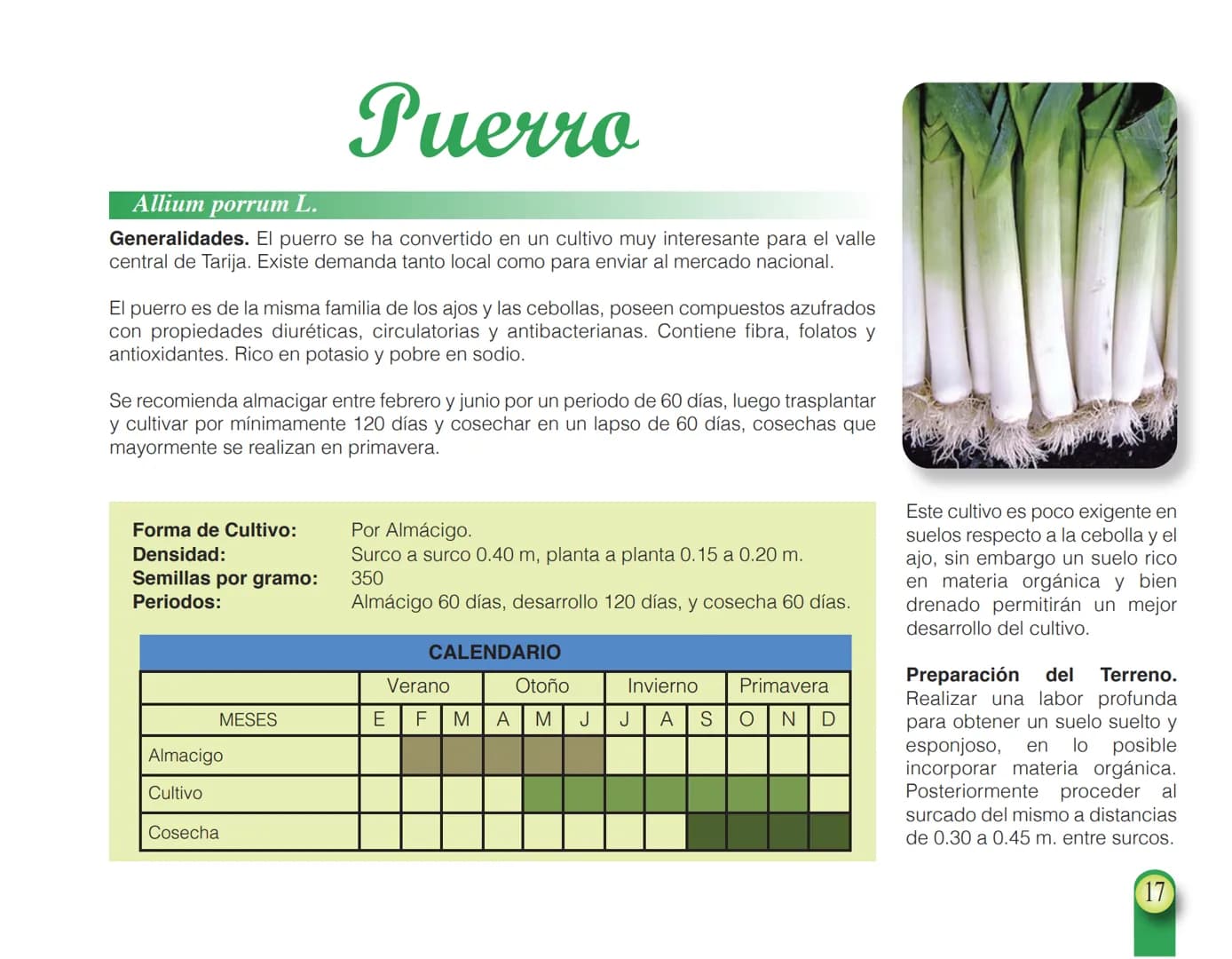LA COOPÉRATION
BELGE AU DÉVELOPPEMENT
beLOUVAIN
COOPERATION
Subgobernación
Esperanza
Bolivia
San Lorenzo
MANUAL PARA EL CULTIVO DE
HORTALIZA