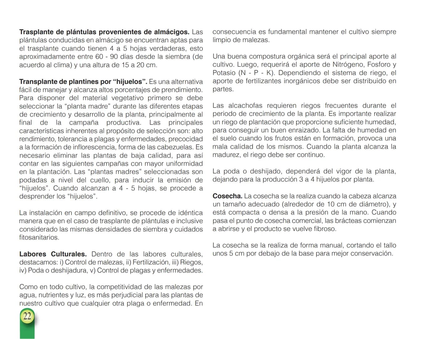 LA COOPÉRATION
BELGE AU DÉVELOPPEMENT
beLOUVAIN
COOPERATION
Subgobernación
Esperanza
Bolivia
San Lorenzo
MANUAL PARA EL CULTIVO DE
HORTALIZA