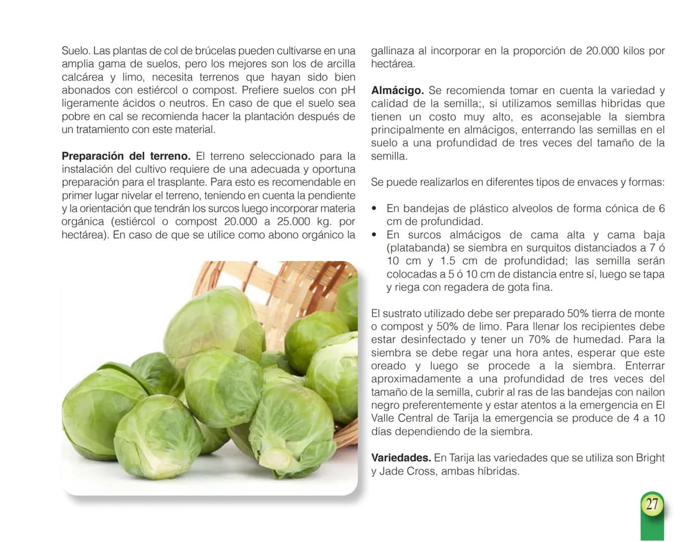 LA COOPÉRATION
BELGE AU DÉVELOPPEMENT
beLOUVAIN
COOPERATION
Subgobernación
Esperanza
Bolivia
San Lorenzo
MANUAL PARA EL CULTIVO DE
HORTALIZA