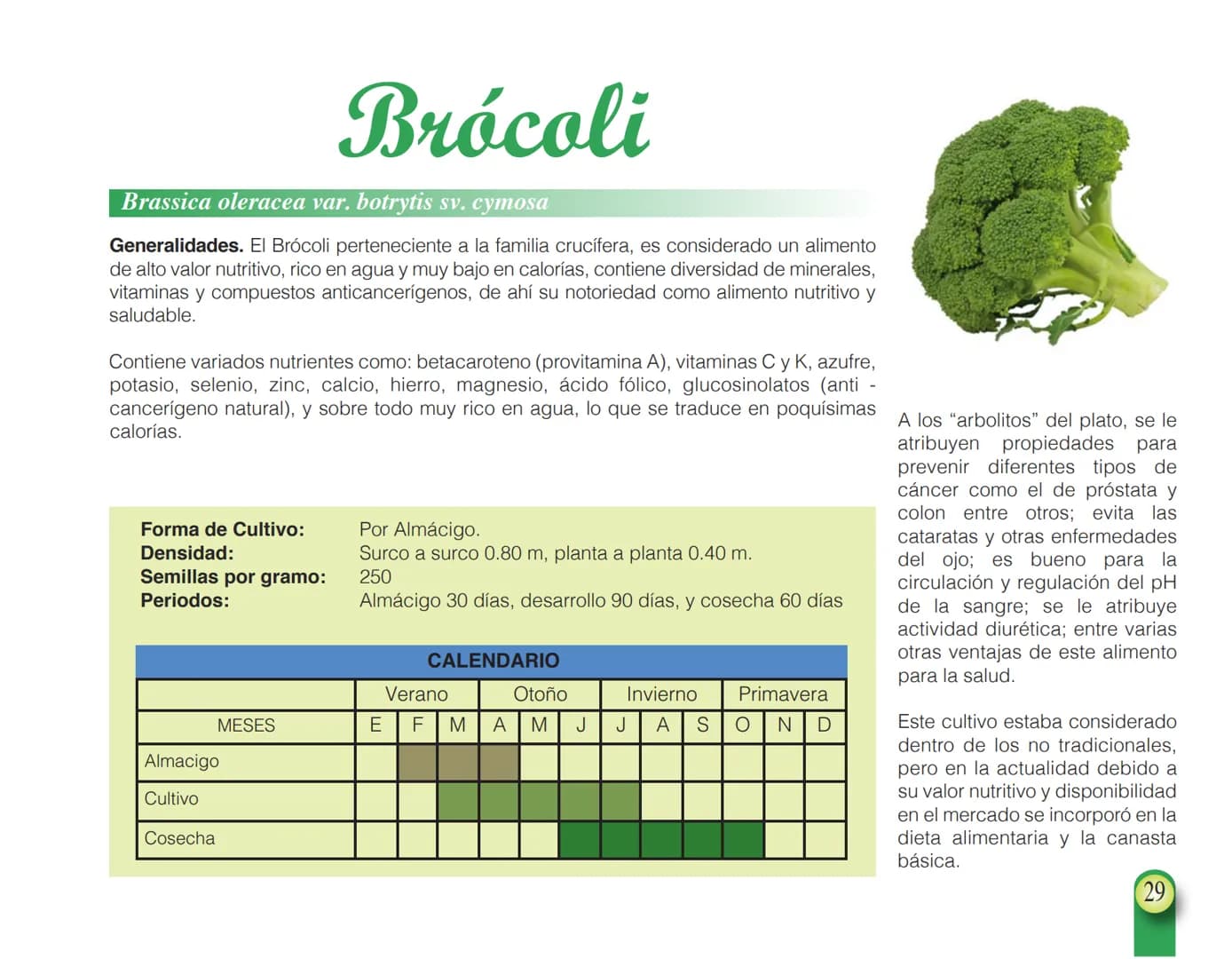 LA COOPÉRATION
BELGE AU DÉVELOPPEMENT
beLOUVAIN
COOPERATION
Subgobernación
Esperanza
Bolivia
San Lorenzo
MANUAL PARA EL CULTIVO DE
HORTALIZA