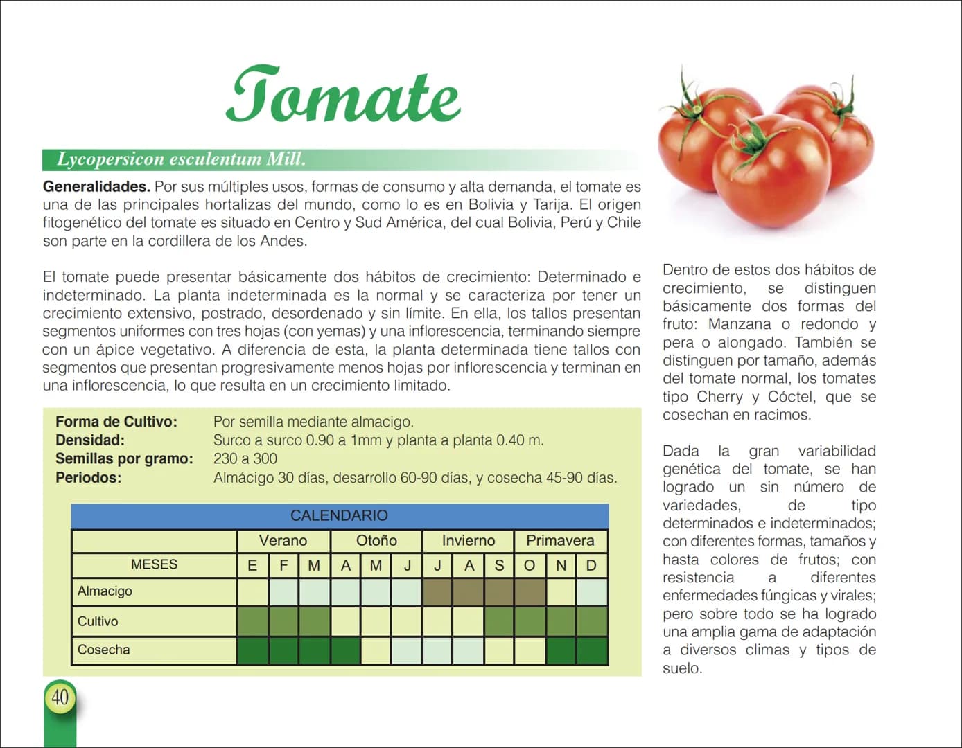 LA COOPÉRATION
BELGE AU DÉVELOPPEMENT
beLOUVAIN
COOPERATION
Subgobernación
Esperanza
Bolivia
San Lorenzo
MANUAL PARA EL CULTIVO DE
HORTALIZA