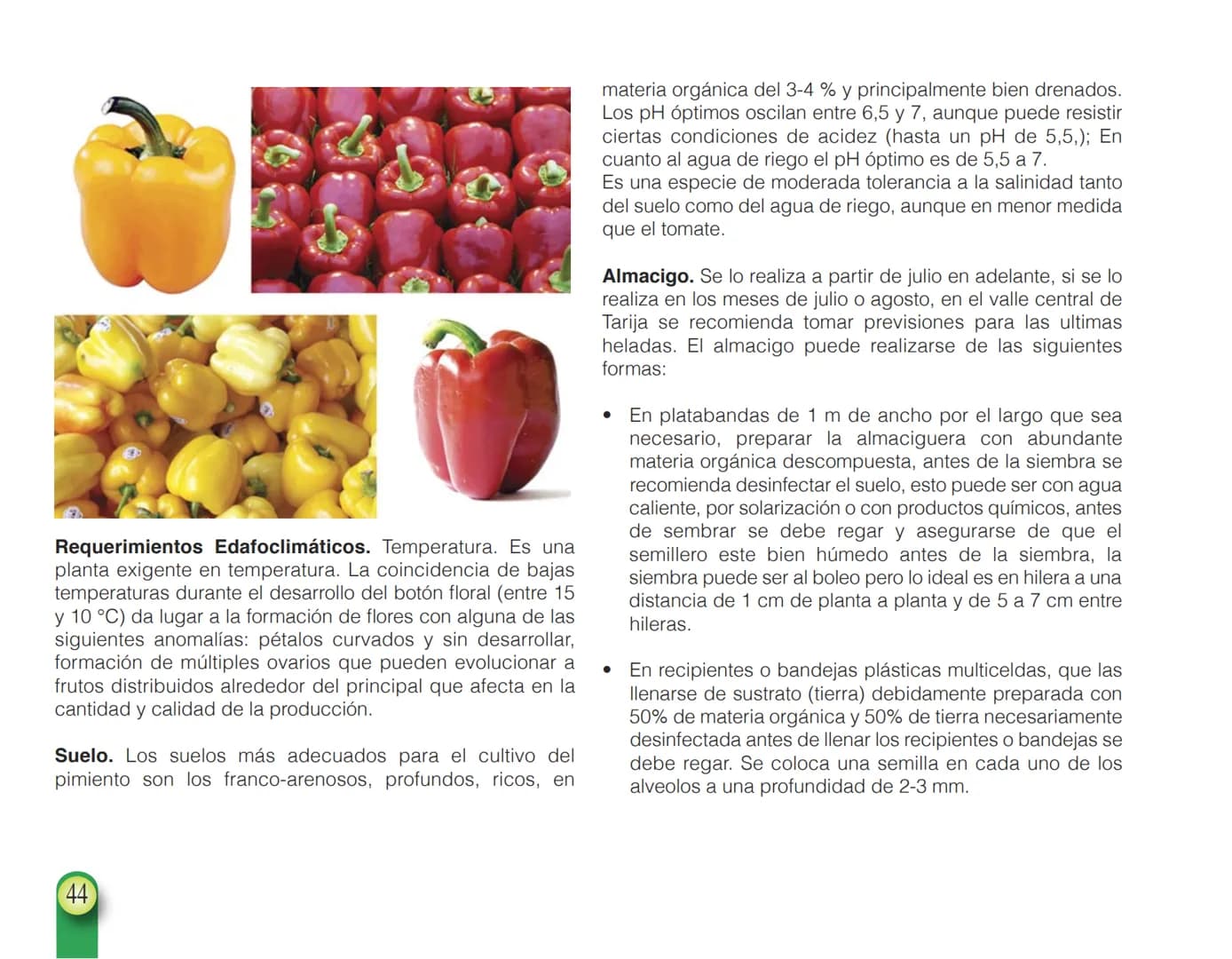 LA COOPÉRATION
BELGE AU DÉVELOPPEMENT
beLOUVAIN
COOPERATION
Subgobernación
Esperanza
Bolivia
San Lorenzo
MANUAL PARA EL CULTIVO DE
HORTALIZA