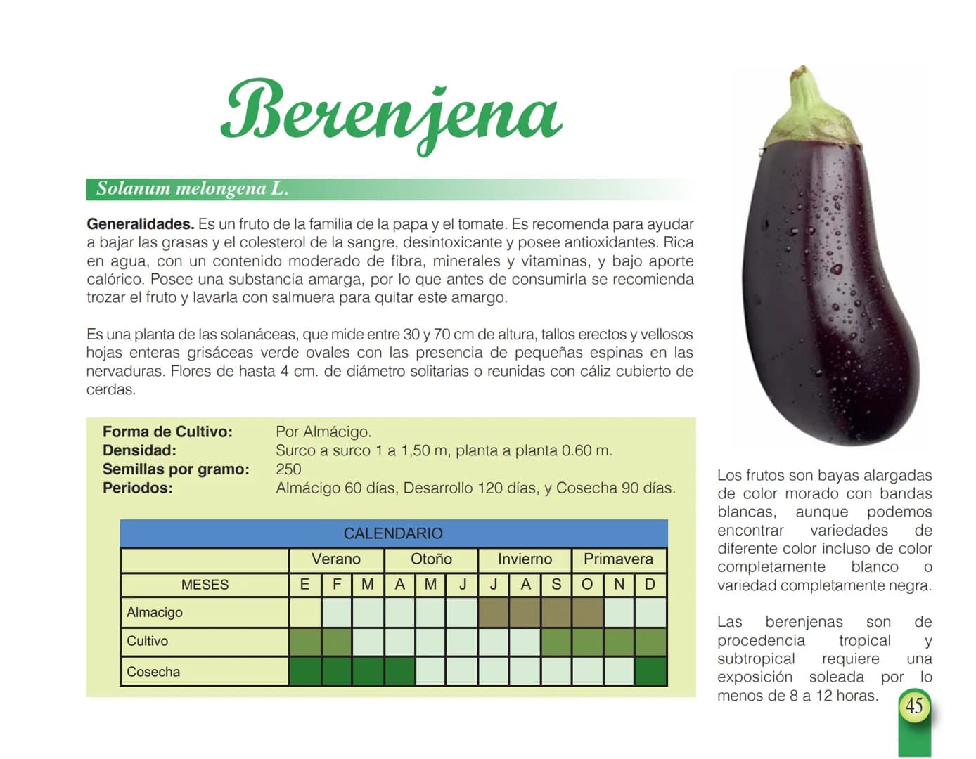 LA COOPÉRATION
BELGE AU DÉVELOPPEMENT
beLOUVAIN
COOPERATION
Subgobernación
Esperanza
Bolivia
San Lorenzo
MANUAL PARA EL CULTIVO DE
HORTALIZA