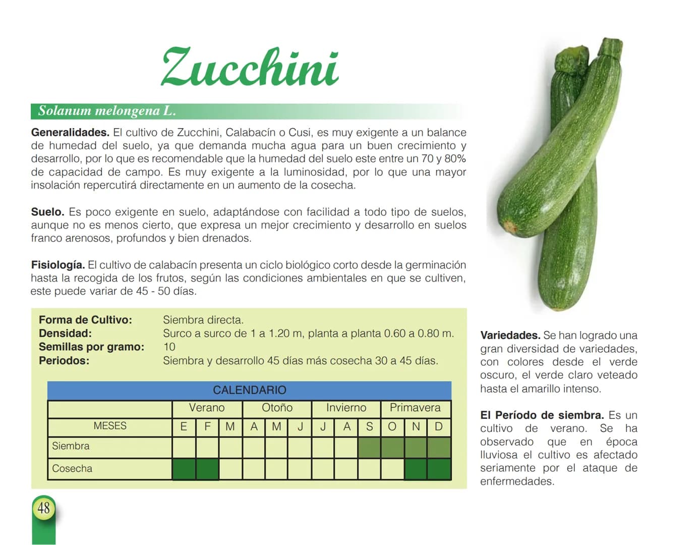 LA COOPÉRATION
BELGE AU DÉVELOPPEMENT
beLOUVAIN
COOPERATION
Subgobernación
Esperanza
Bolivia
San Lorenzo
MANUAL PARA EL CULTIVO DE
HORTALIZA