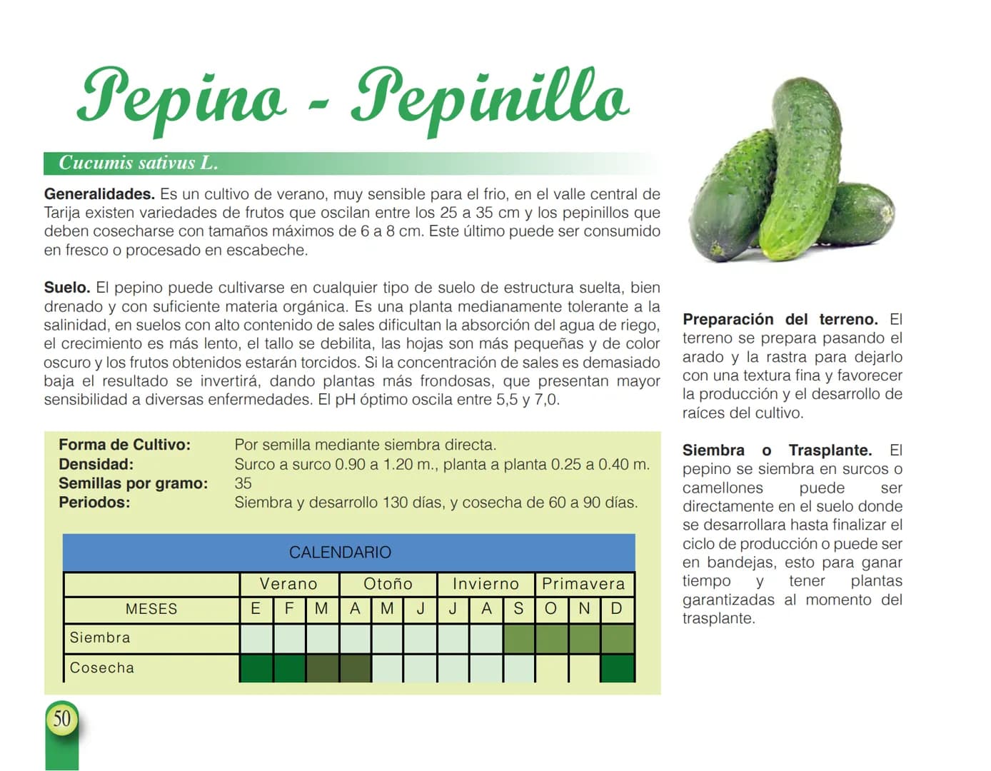 LA COOPÉRATION
BELGE AU DÉVELOPPEMENT
beLOUVAIN
COOPERATION
Subgobernación
Esperanza
Bolivia
San Lorenzo
MANUAL PARA EL CULTIVO DE
HORTALIZA
