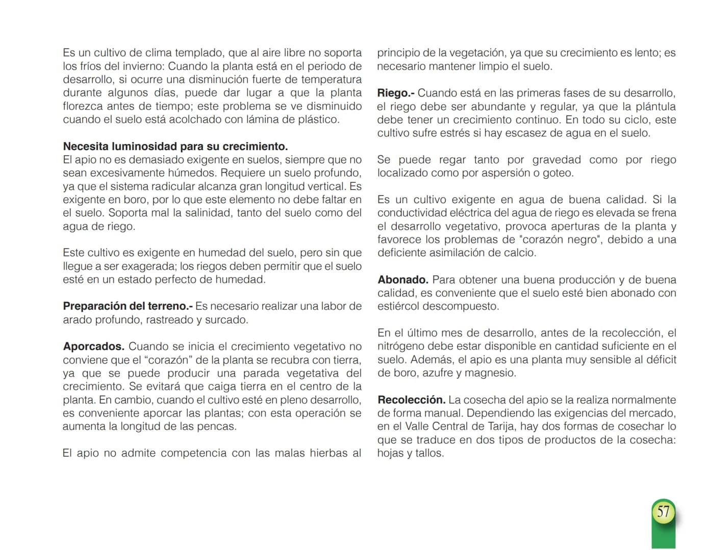 LA COOPÉRATION
BELGE AU DÉVELOPPEMENT
beLOUVAIN
COOPERATION
Subgobernación
Esperanza
Bolivia
San Lorenzo
MANUAL PARA EL CULTIVO DE
HORTALIZA