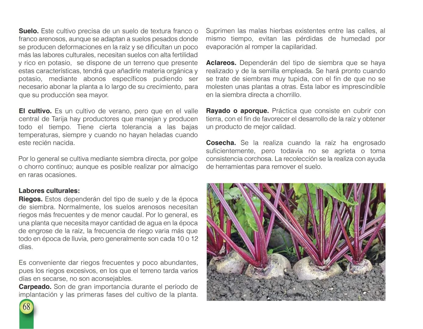 LA COOPÉRATION
BELGE AU DÉVELOPPEMENT
beLOUVAIN
COOPERATION
Subgobernación
Esperanza
Bolivia
San Lorenzo
MANUAL PARA EL CULTIVO DE
HORTALIZA