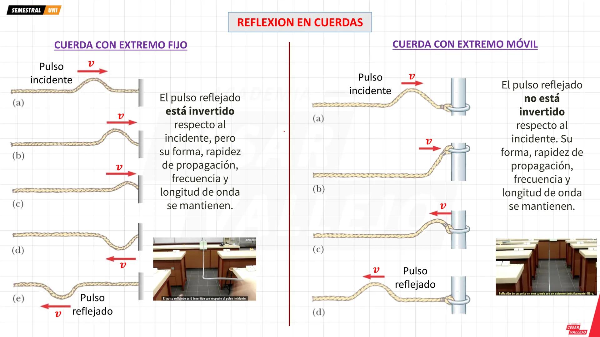 SEMESTRAL UNI
Objetivos:
• Comprender y analizar las
características, propiedades y
fenómenos que experimenta
una ONDA MECANICA
• Conocer lo