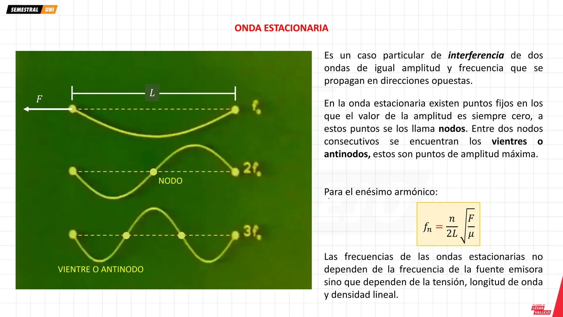 SEMESTRAL UNI
Objetivos:
• Comprender y analizar las
características, propiedades y
fenómenos que experimenta
una ONDA MECANICA
• Conocer lo