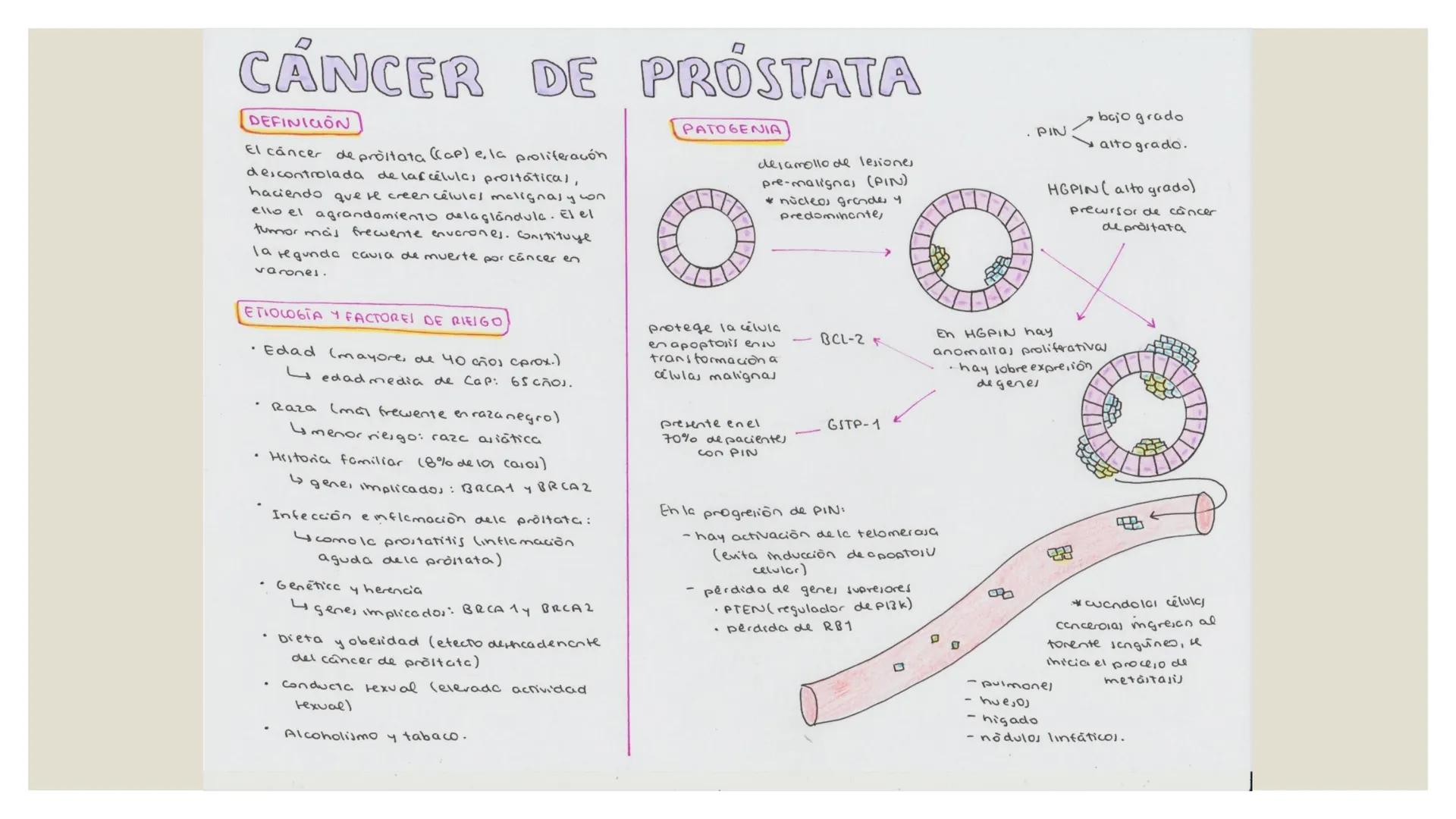 CANCER DE PROSTATA
DEFINICION
El cáncer de prostata ((ap) e, la proliferacón
descontrolada de lafcélula, prostáticas,
haciendo que se creen