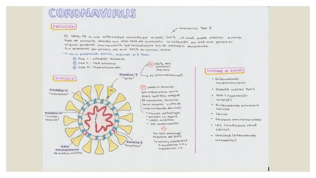 Coronavirus Apunte
