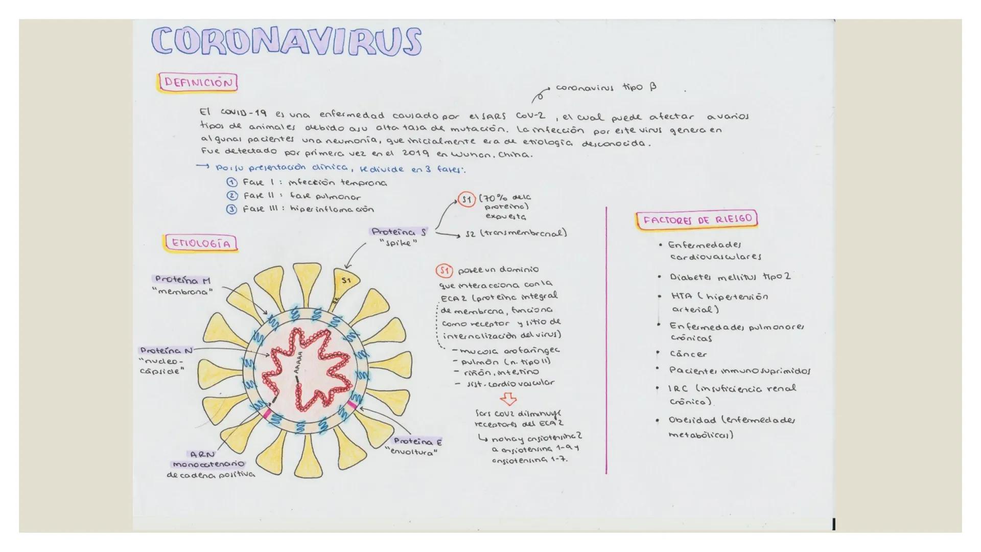 --- OCR Start ---
CORONAVIRUS
DEFINICIÓN
مم
El COVID-19 es una enfermedad causado por elSARS COV-2
tipos de animales debido asu
coronavirus
