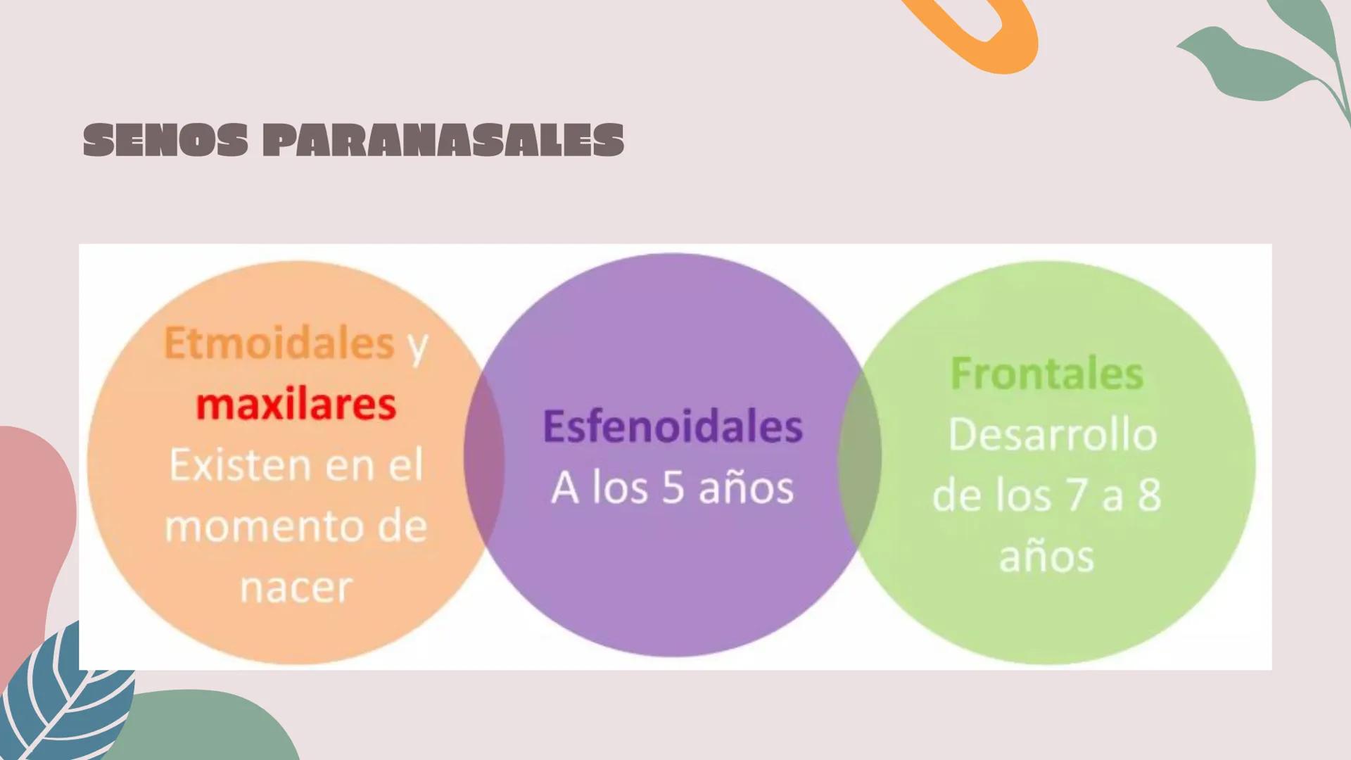 # OTITIS MEDIA
# AGUDA
IM Silvana Malú Garayar Sánchez DEFINICIÓN
Proceso séptico-
inflamatorio del
recubrimiento
mucoperióstico del oído