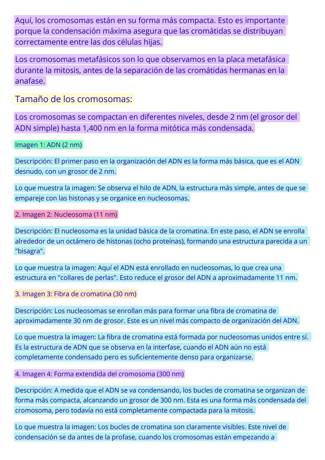 CICLO CELULAR
El ciclo celular es el proceso mediante el cual una célula se reproduce, duplicando su contenido
y dividiéndose en dos células