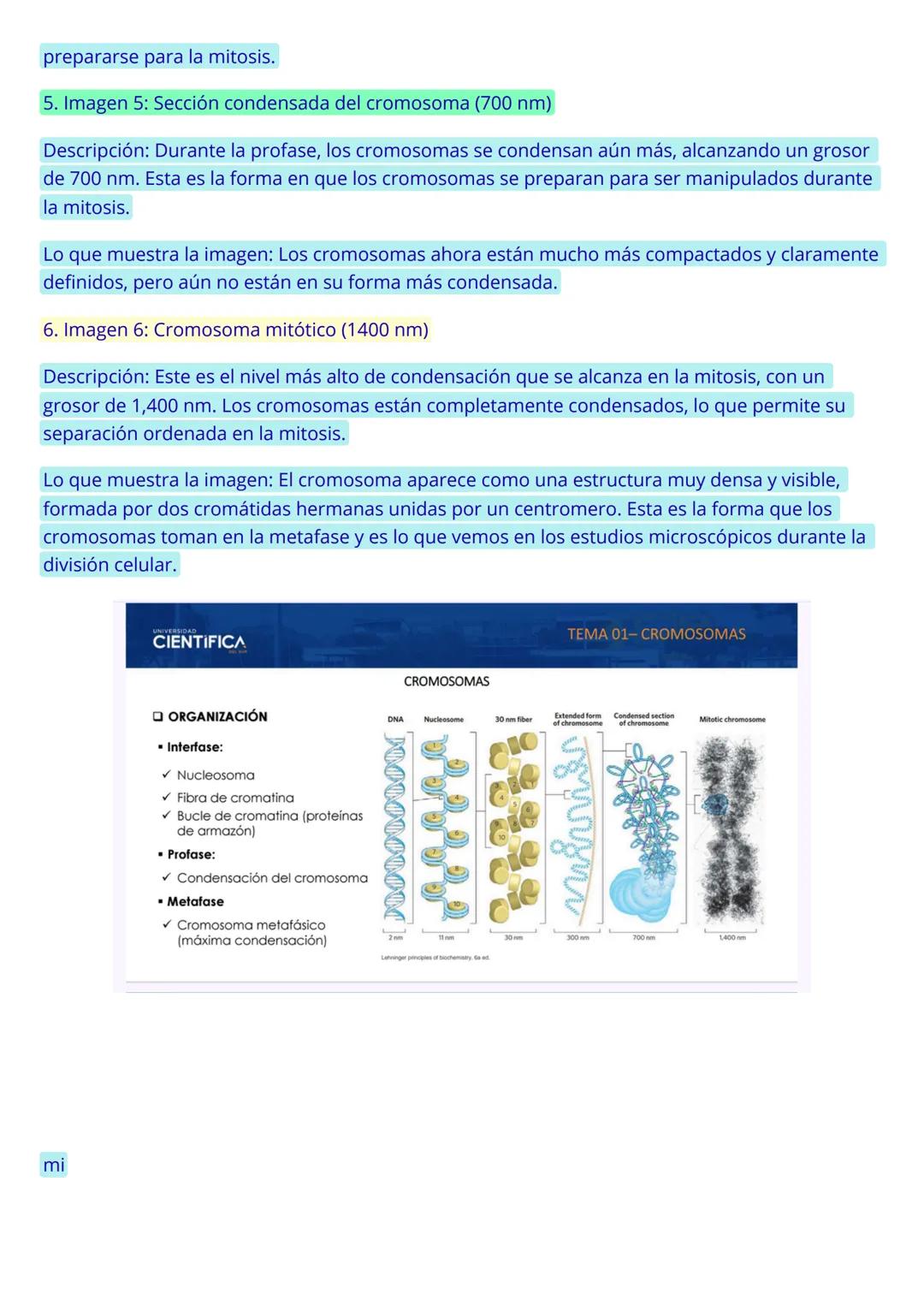 CICLO CELULAR
El ciclo celular es el proceso mediante el cual una célula se reproduce, duplicando su contenido
y dividiéndose en dos células