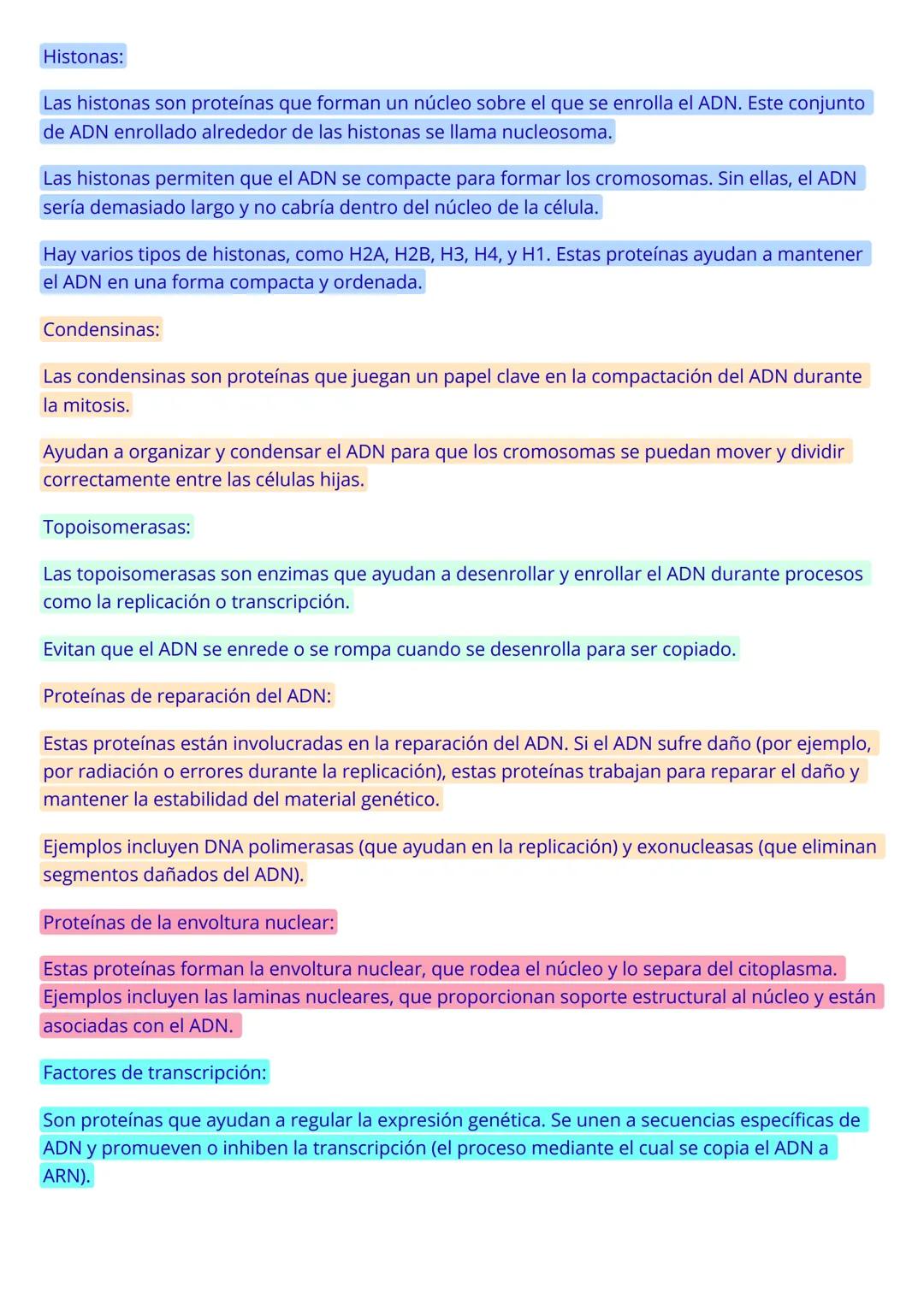 CICLO CELULAR
El ciclo celular es el proceso mediante el cual una célula se reproduce, duplicando su contenido
y dividiéndose en dos células
