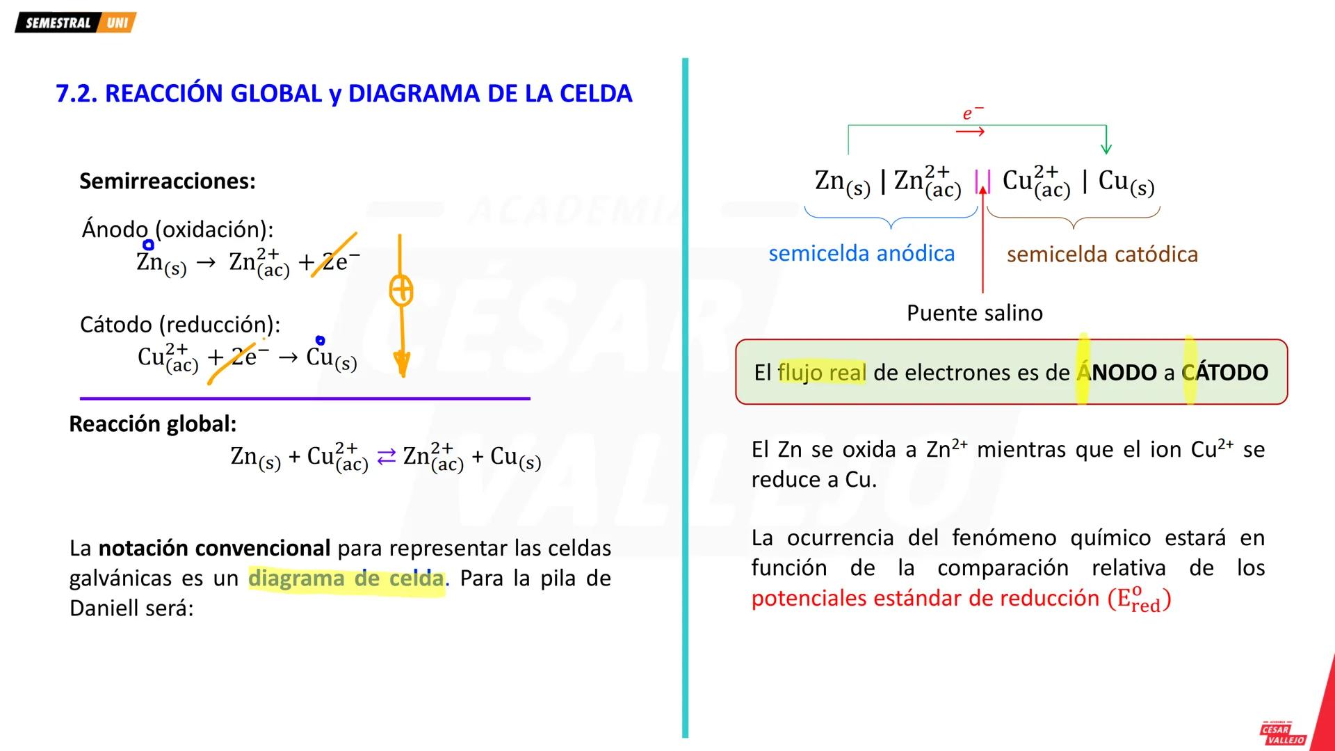 academiacesarvallejo.edu.pe
Física
TI
F
ACADEMIA
CÉSAR
VALLEJO
ACADEMIA
CÉSAR
VALLEJO
CICLO
SEMESTRAL
UNI
ACADEMIA
CÉSAR
VALLEJO academiaces