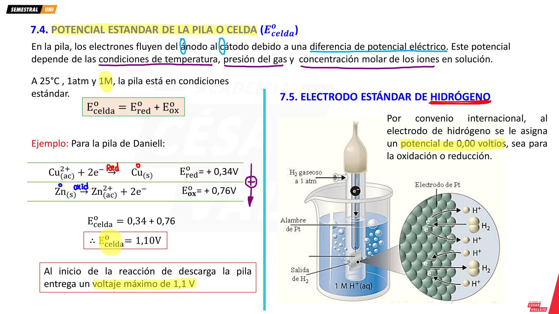 academiacesarvallejo.edu.pe
Física
TI
F
ACADEMIA
CÉSAR
VALLEJO
ACADEMIA
CÉSAR
VALLEJO
CICLO
SEMESTRAL
UNI
ACADEMIA
CÉSAR
VALLEJO academiaces