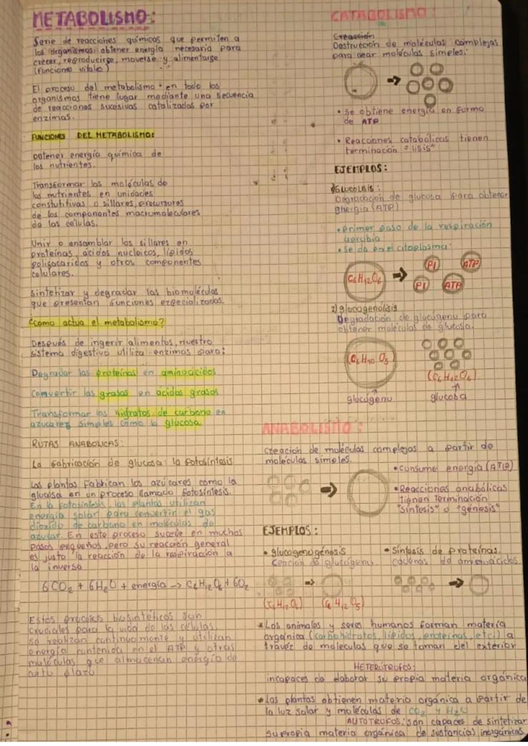 METABOLISMO:
Serie de reacciones químicas que permiten a
los organismos obtener energía necesaria para
crecer, reproducirse, moverse y alime