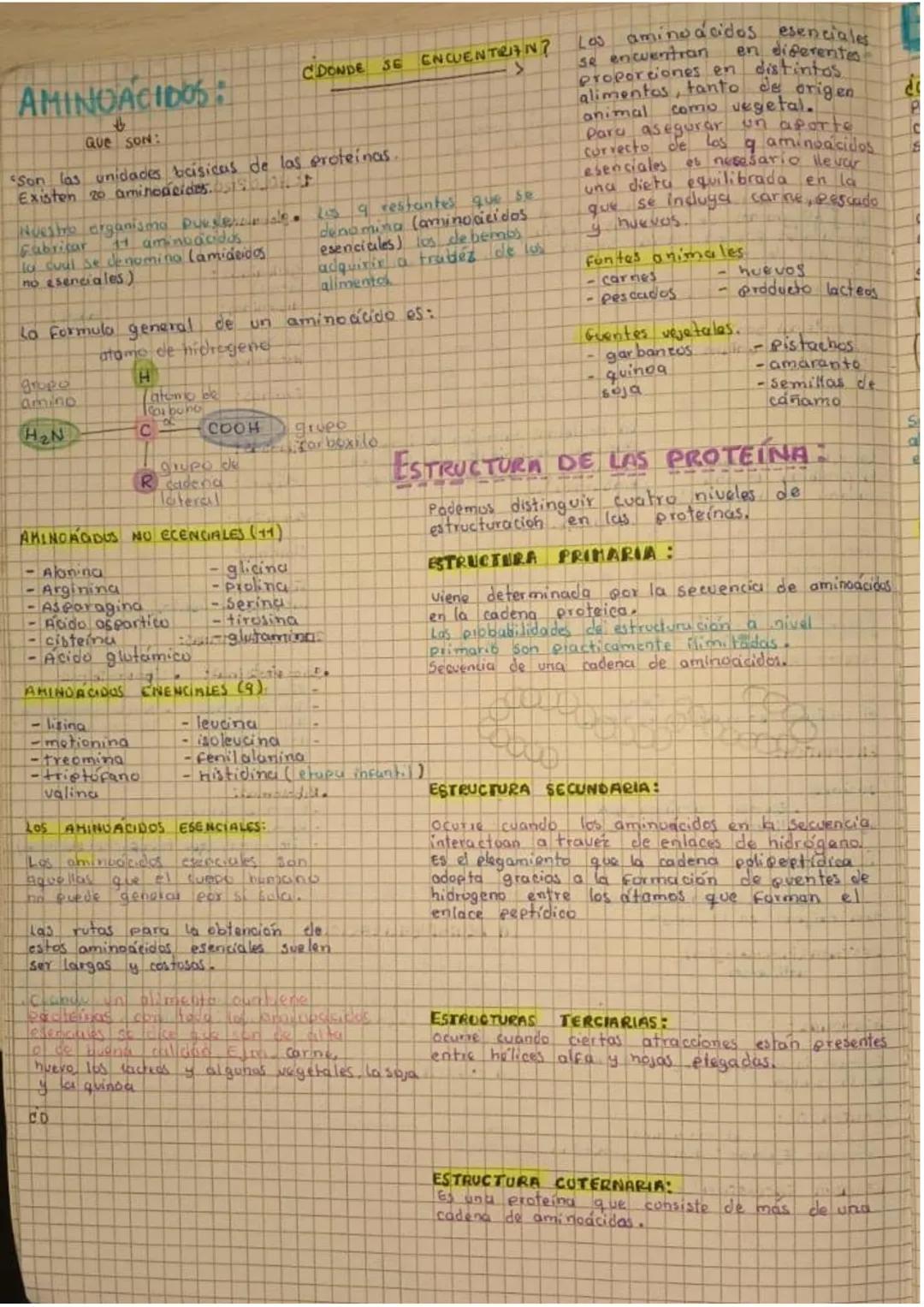 METABOLISMO:
Serie de reacciones químicas que permiten a
los organismos obtener energía necesaria para
crecer, reproducirse, moverse y alime