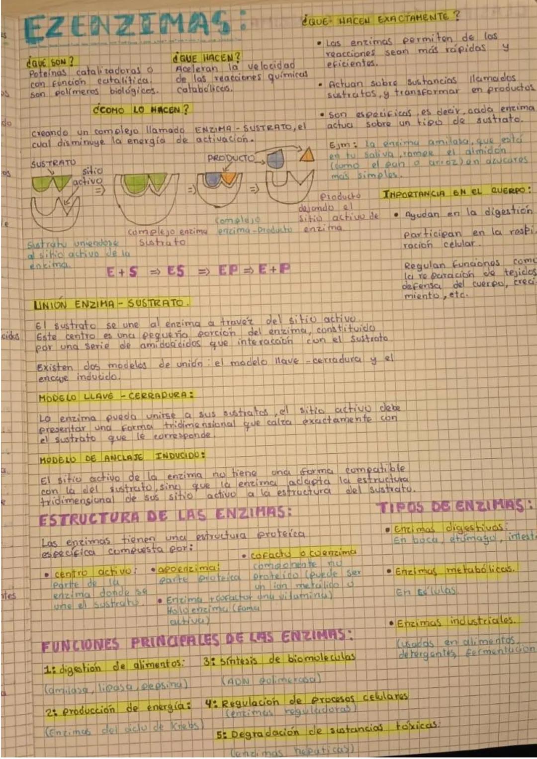 METABOLISMO:
Serie de reacciones químicas que permiten a
los organismos obtener energía necesaria para
crecer, reproducirse, moverse y alime