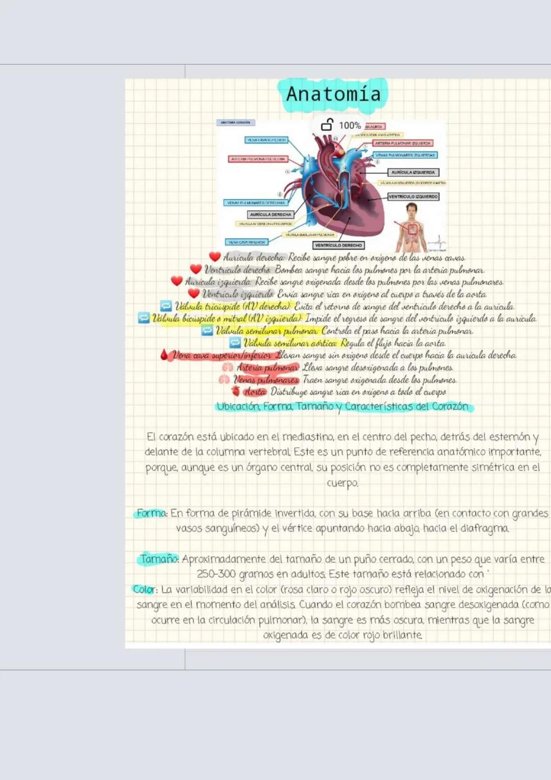 ¿Cual es la funcion
principal del corazon en
el sistema circulatorio?
¿Cuales son las capas
del corazon y qué
funcion tiene cada una?
¿Qué e