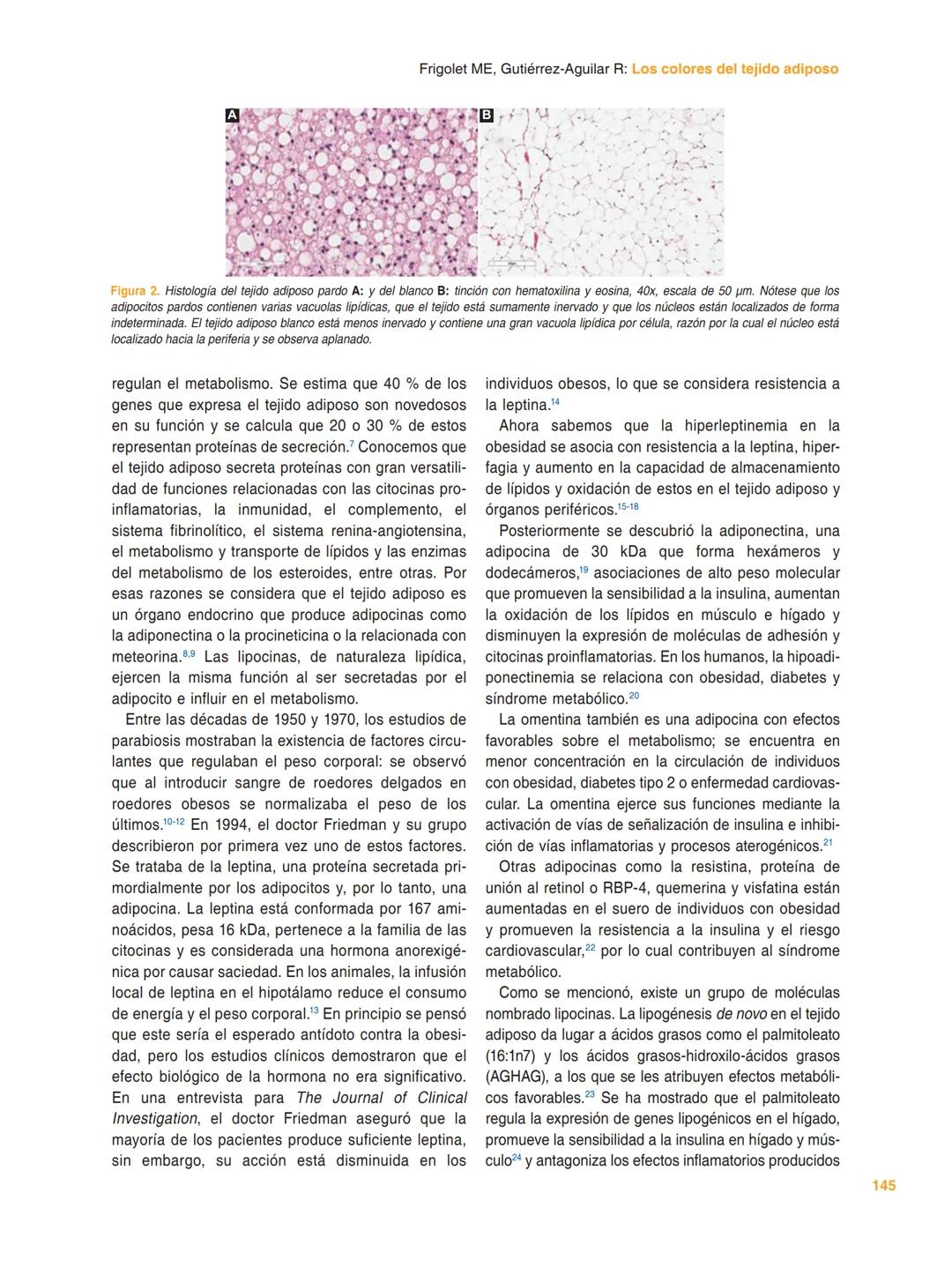 ## GACETA MÉDICA DE MÉXICO
Check for updates
ARTÍCULO DE REVISIÓN
## Los colores del tejido adiposo
María E. Frigolet* y Ruth Gutiérrez-