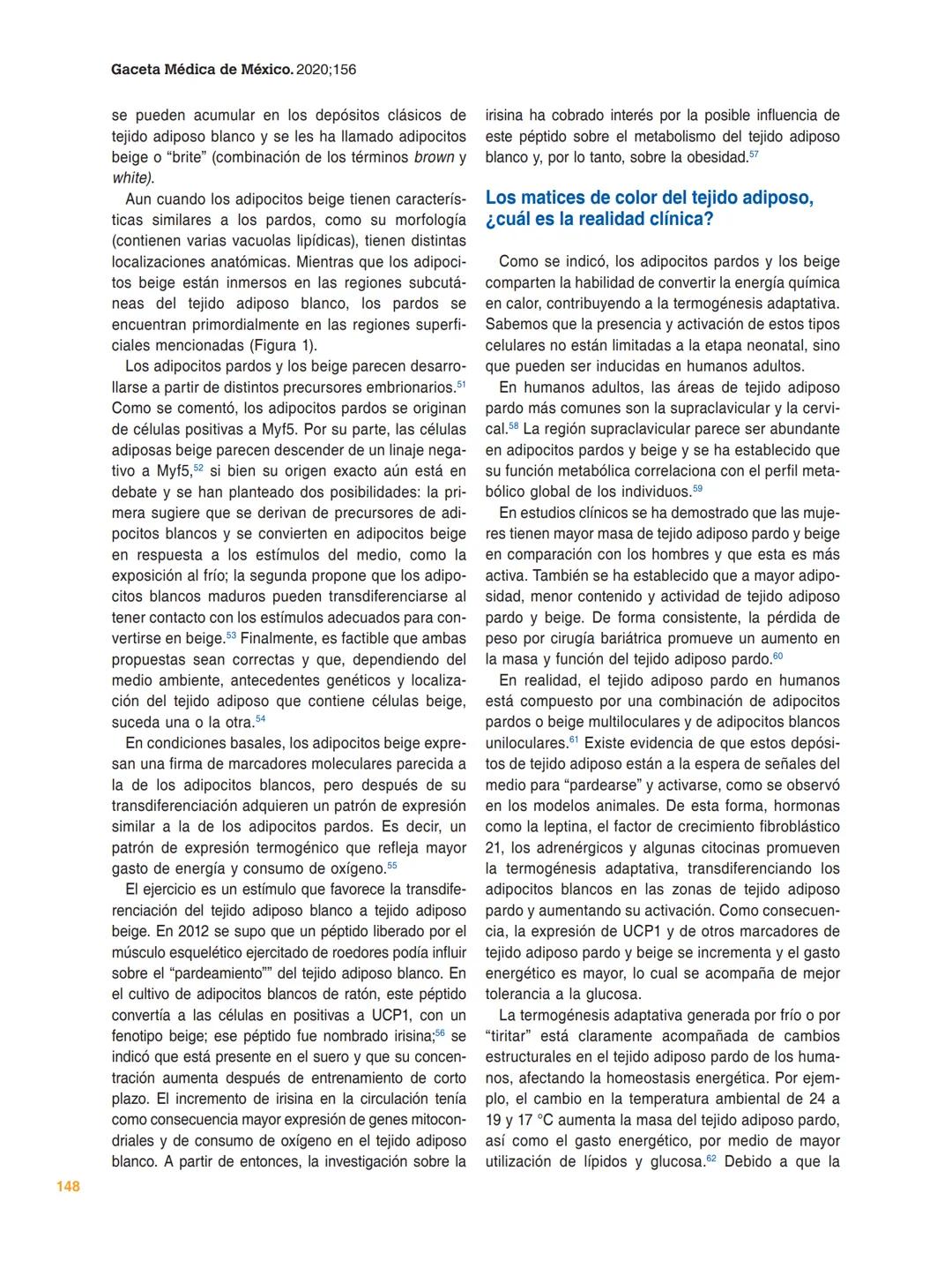## GACETA MÉDICA DE MÉXICO
Check for updates
ARTÍCULO DE REVISIÓN
## Los colores del tejido adiposo
María E. Frigolet* y Ruth Gutiérrez-