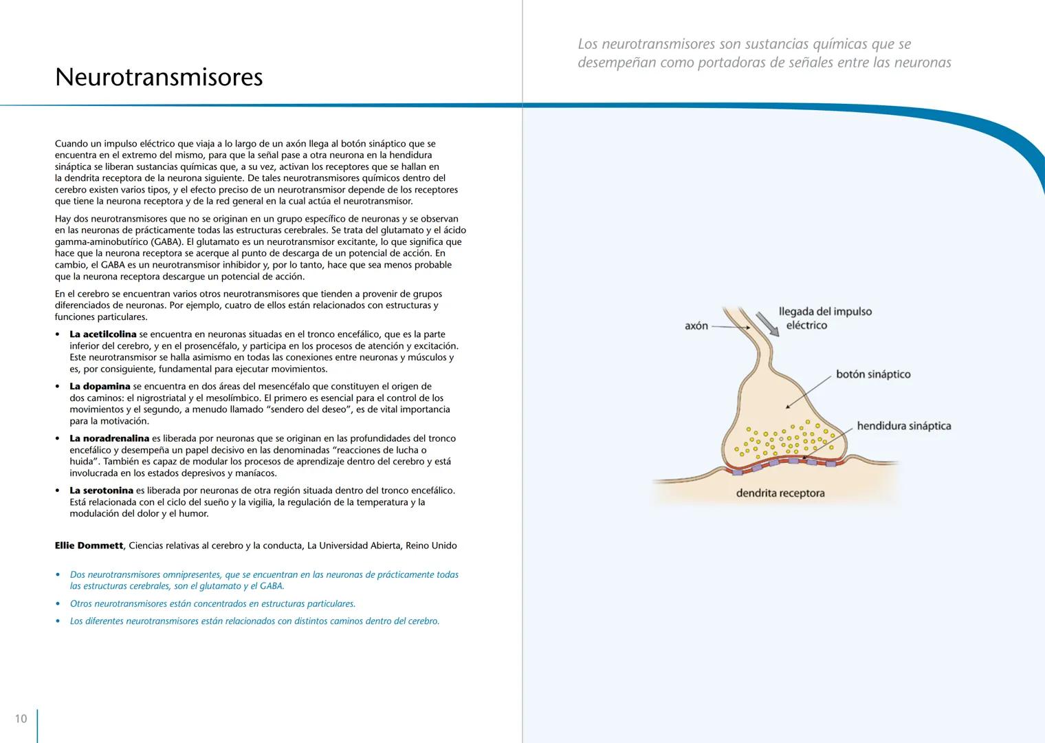 # LA PRIMERA INFANCIA EN PERSPECTIVA 7
# El cerebro en desarrollo # LA PRIMERA INFANCIA EN PERSPECTIVA
Serie editada por Martin Woodhead y