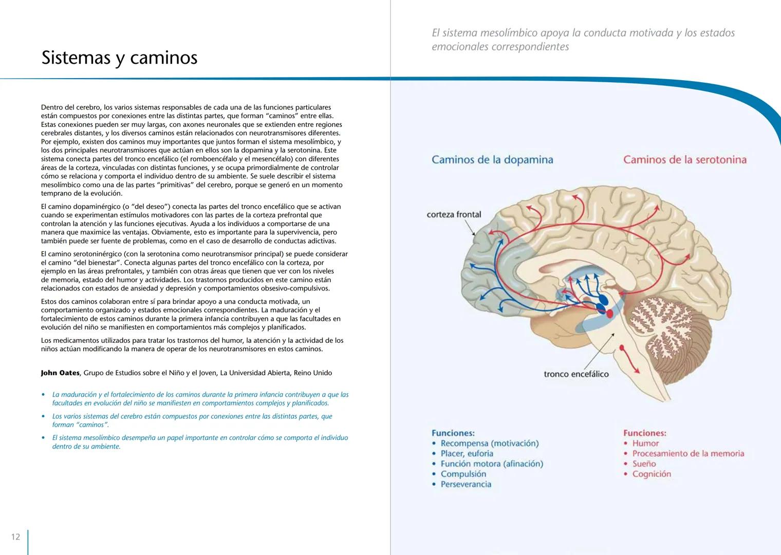 # LA PRIMERA INFANCIA EN PERSPECTIVA 7
# El cerebro en desarrollo # LA PRIMERA INFANCIA EN PERSPECTIVA
Serie editada por Martin Woodhead y