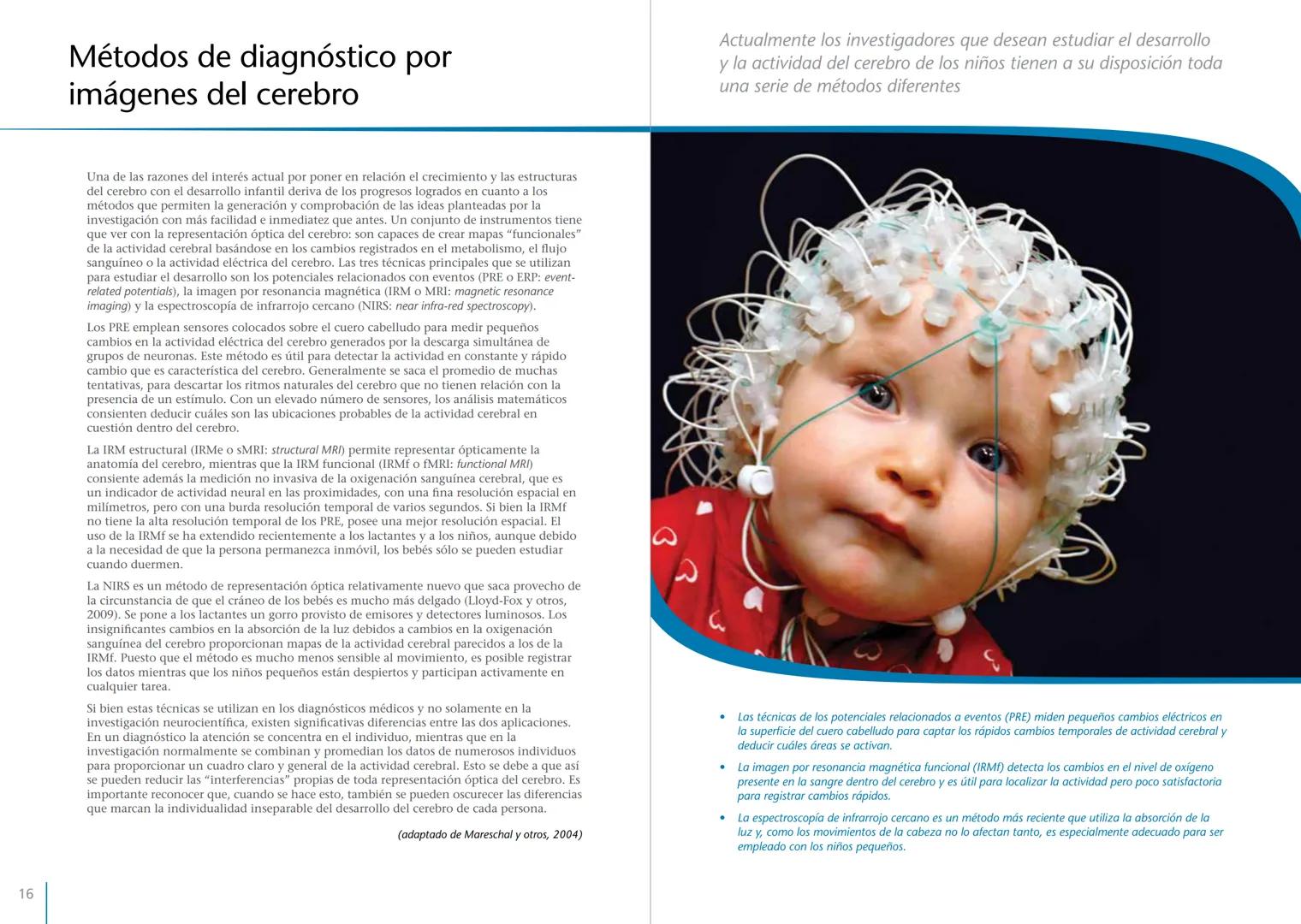 # LA PRIMERA INFANCIA EN PERSPECTIVA 7
# El cerebro en desarrollo # LA PRIMERA INFANCIA EN PERSPECTIVA
Serie editada por Martin Woodhead y