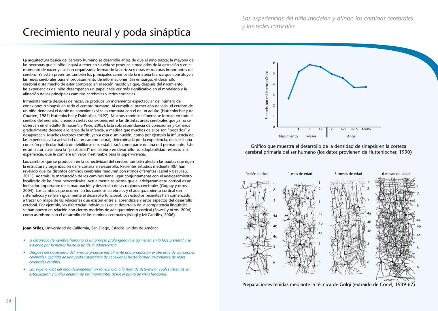 # LA PRIMERA INFANCIA EN PERSPECTIVA 7
# El cerebro en desarrollo # LA PRIMERA INFANCIA EN PERSPECTIVA
Serie editada por Martin Woodhead y