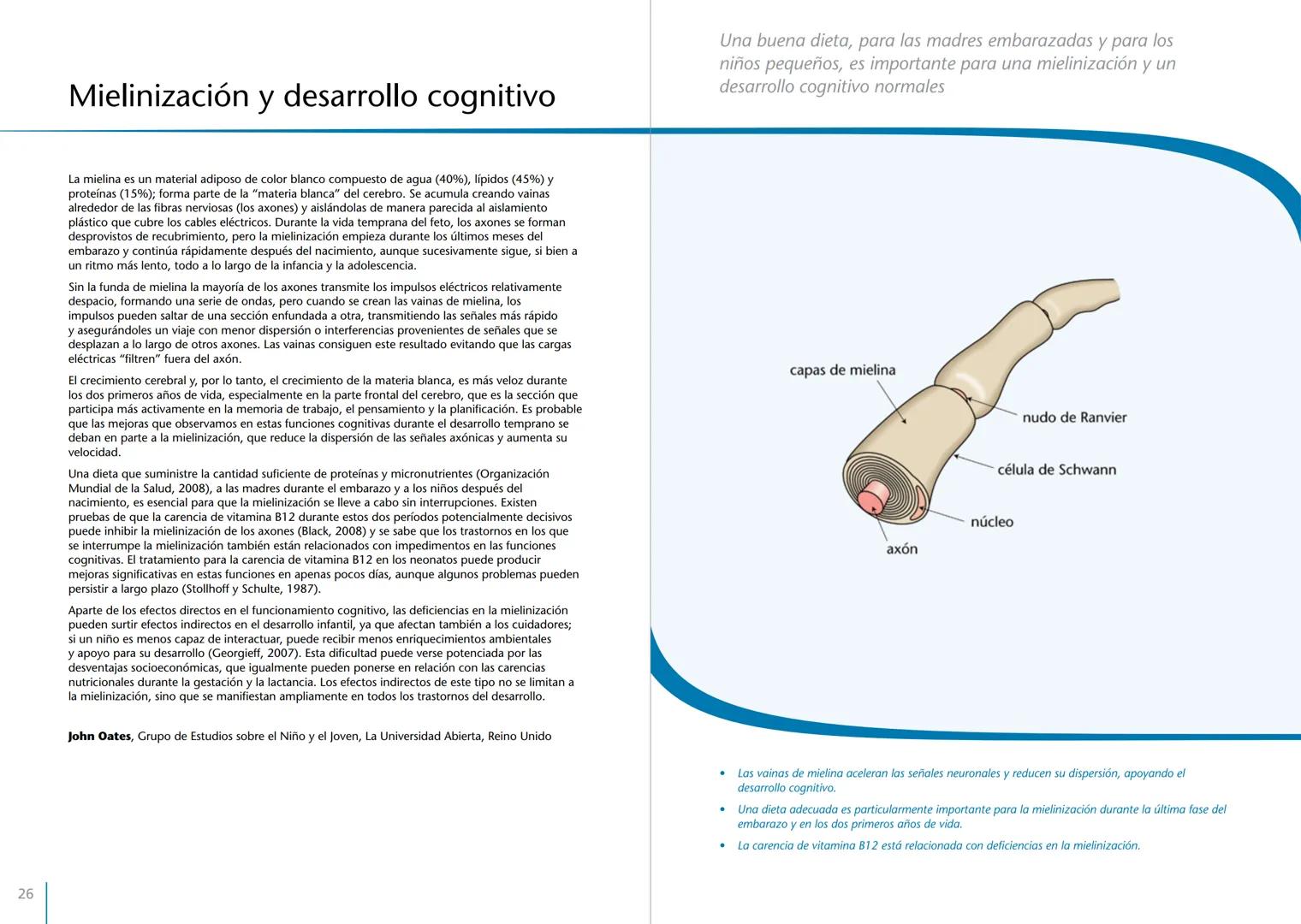 # LA PRIMERA INFANCIA EN PERSPECTIVA 7
# El cerebro en desarrollo # LA PRIMERA INFANCIA EN PERSPECTIVA
Serie editada por Martin Woodhead y