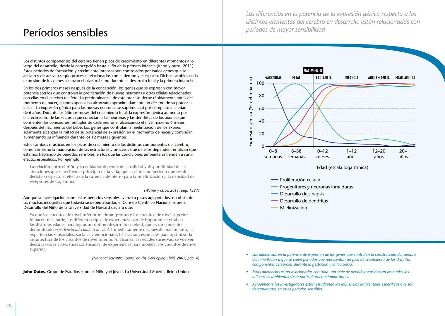 # LA PRIMERA INFANCIA EN PERSPECTIVA 7
# El cerebro en desarrollo # LA PRIMERA INFANCIA EN PERSPECTIVA
Serie editada por Martin Woodhead y