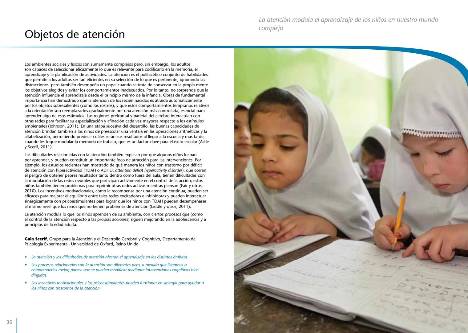 # LA PRIMERA INFANCIA EN PERSPECTIVA 7
# El cerebro en desarrollo # LA PRIMERA INFANCIA EN PERSPECTIVA
Serie editada por Martin Woodhead y