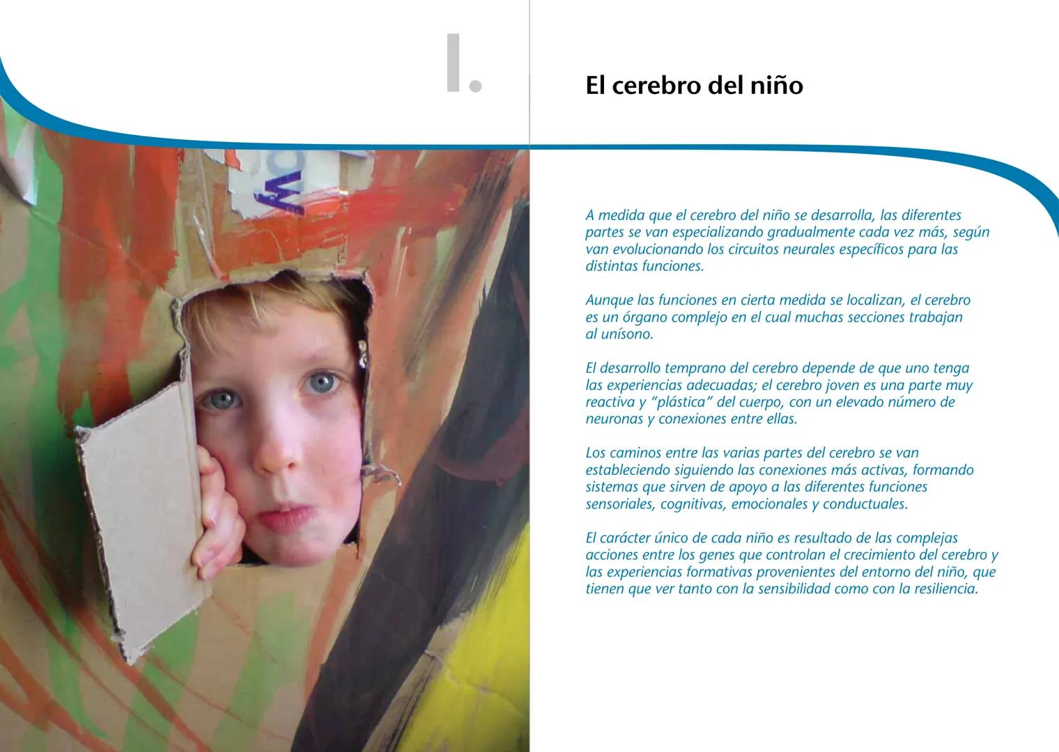 # LA PRIMERA INFANCIA EN PERSPECTIVA 7
# El cerebro en desarrollo # LA PRIMERA INFANCIA EN PERSPECTIVA
Serie editada por Martin Woodhead y