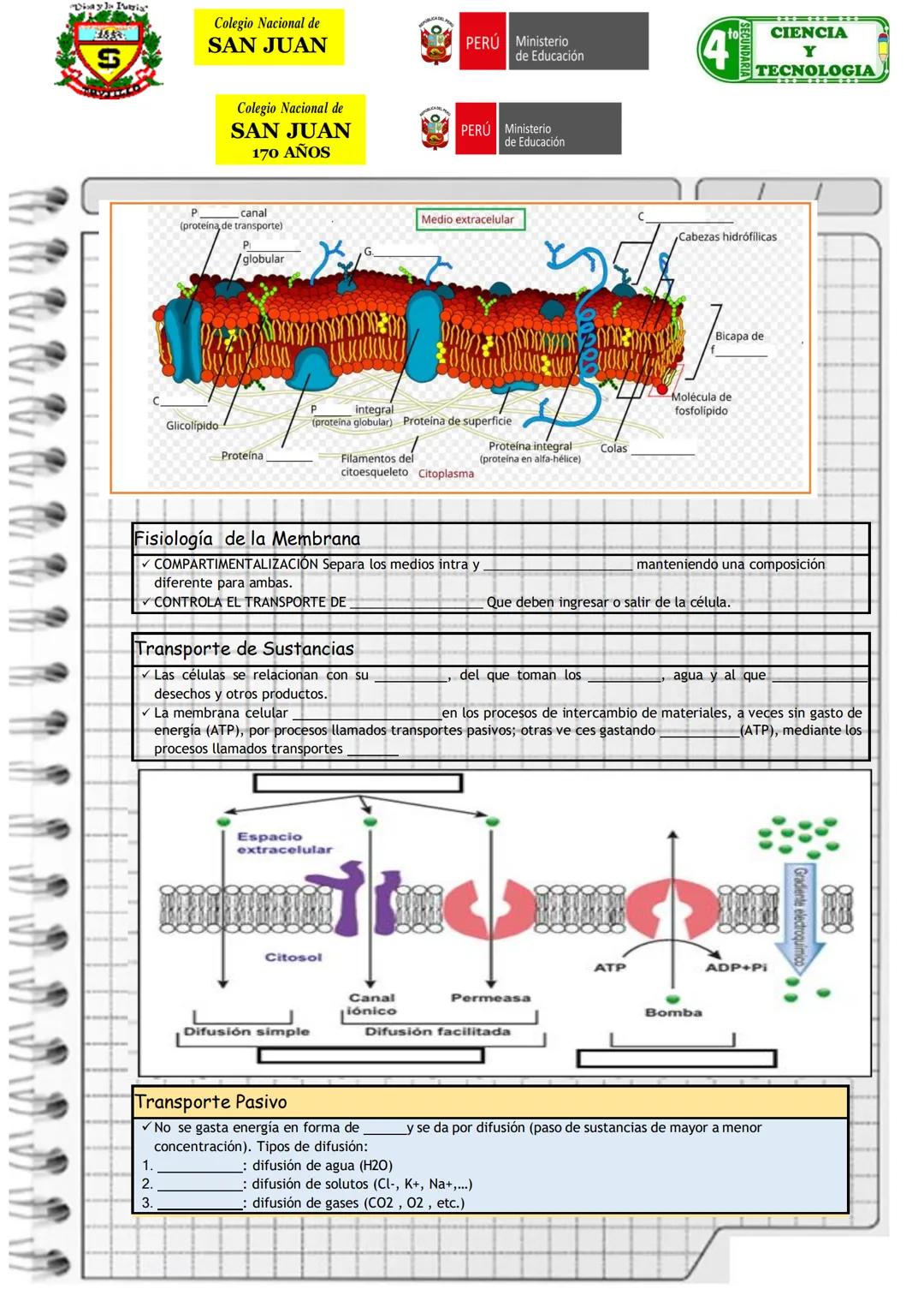 # ENTENDIENDO LA DINÁMICA CELULAR: UN VIAJE A TRAVÉS DEL TRANSPORTE DE MEMBRANA
GRADO
CUARTO GRADO
SECCIONES: D-E-F-G-H-I
DOCENTE
Rosa Clau