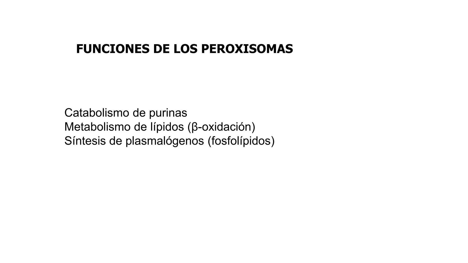 # BIOLOGIA CELULAR
EQUIPO DE DOCENTES ## MECANISMOS PARA EL METABOLISMO CELULAR.
Logro Sesión: Conocer las funciones de
peroxisomas, retíc
