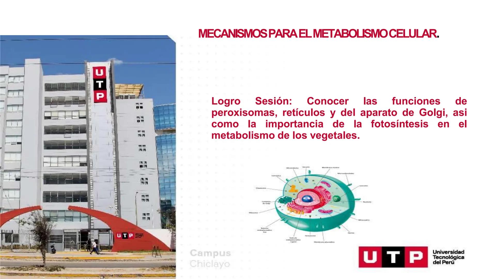 # BIOLOGIA CELULAR
EQUIPO DE DOCENTES ## MECANISMOS PARA EL METABOLISMO CELULAR.
Logro Sesión: Conocer las funciones de
peroxisomas, retíc