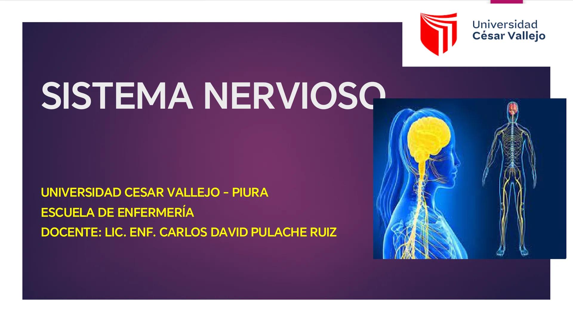 # SISTEMA NERVIOSO
UNIVERSIDAD CESAR VALLEJO - PIURA
ESCUELA DE ENFERMERÍA
DOCENTE: LIC. ENF. CARLOS DAVID PULACHE RUIZ
Universidad
César