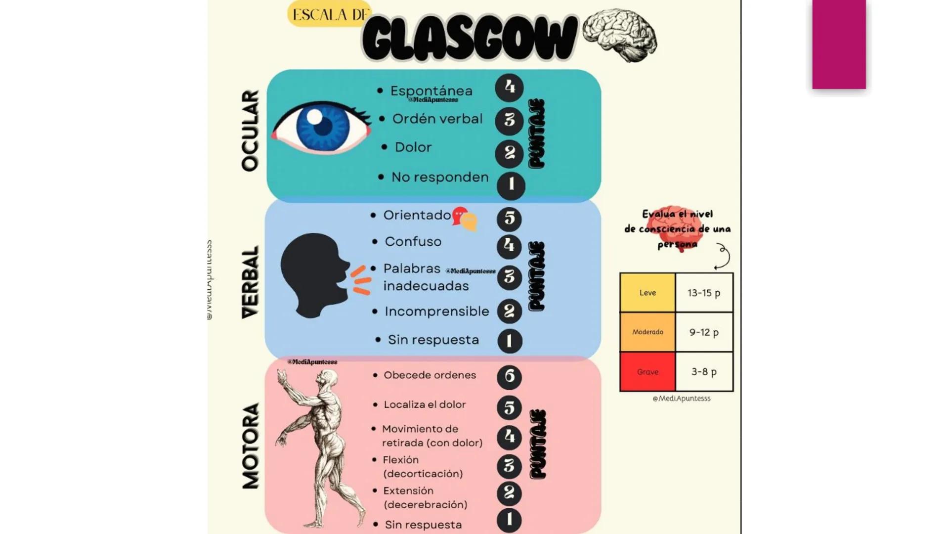 # SISTEMA NERVIOSO
UNIVERSIDAD CESAR VALLEJO - PIURA
ESCUELA DE ENFERMERÍA
DOCENTE: LIC. ENF. CARLOS DAVID PULACHE RUIZ
Universidad
César