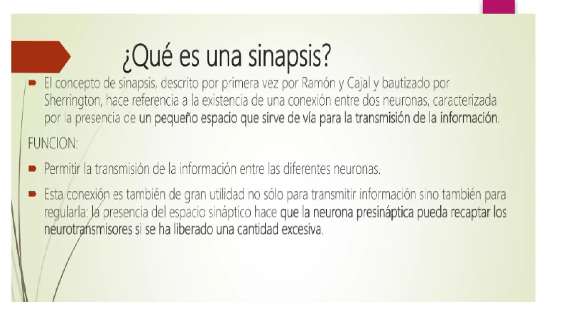 # SISTEMA NERVIOSO
UNIVERSIDAD CESAR VALLEJO - PIURA
ESCUELA DE ENFERMERÍA
DOCENTE: LIC. ENF. CARLOS DAVID PULACHE RUIZ
Universidad
César