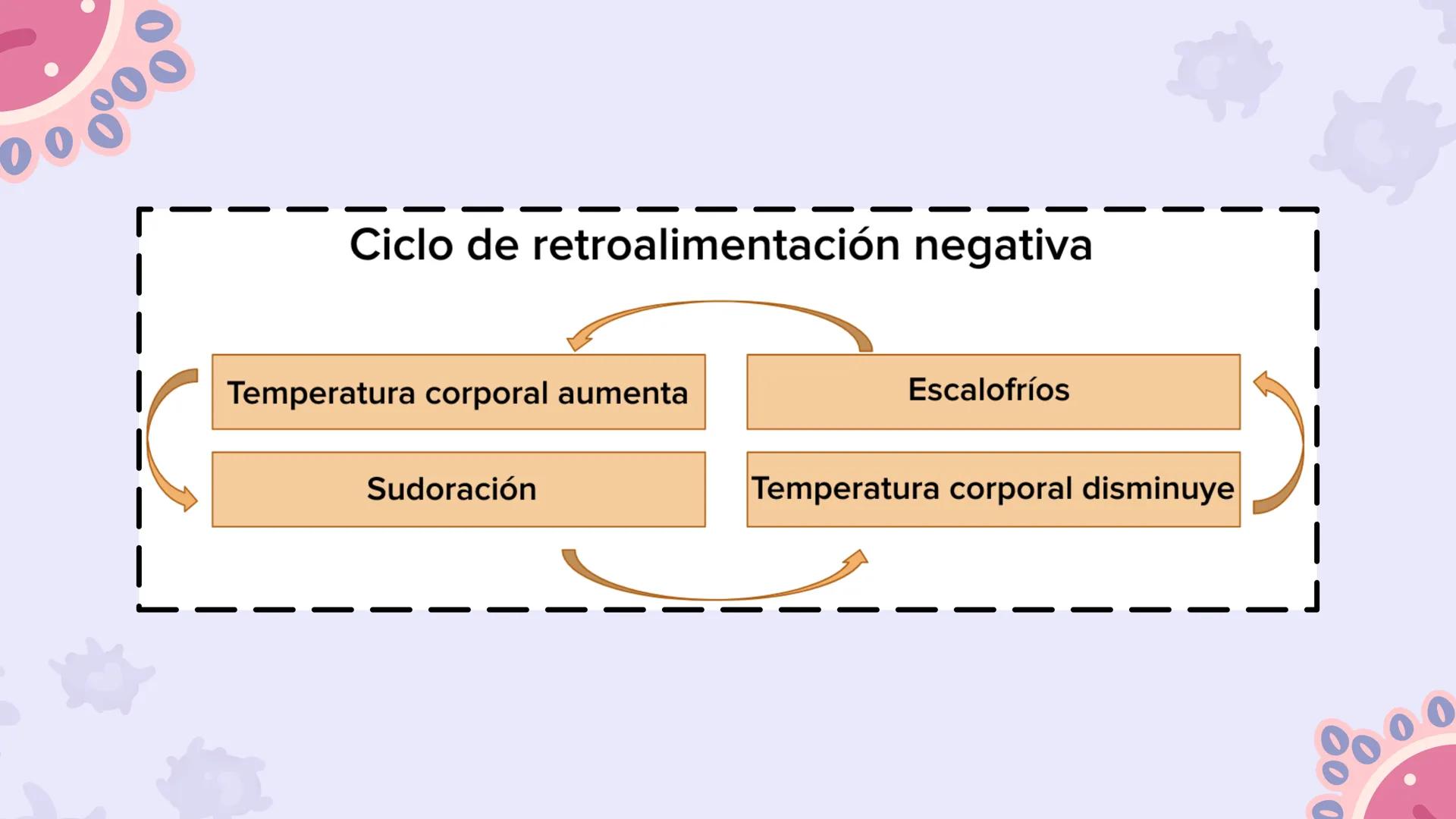 # CAP 03:
# HOMEOSTASIS
Enc.: ERICK F. LUDEÑA A. ### ¿QUE ES LA HOMEOSTASIS?
* Capacidad del organismo para mantener
un ambiente intern