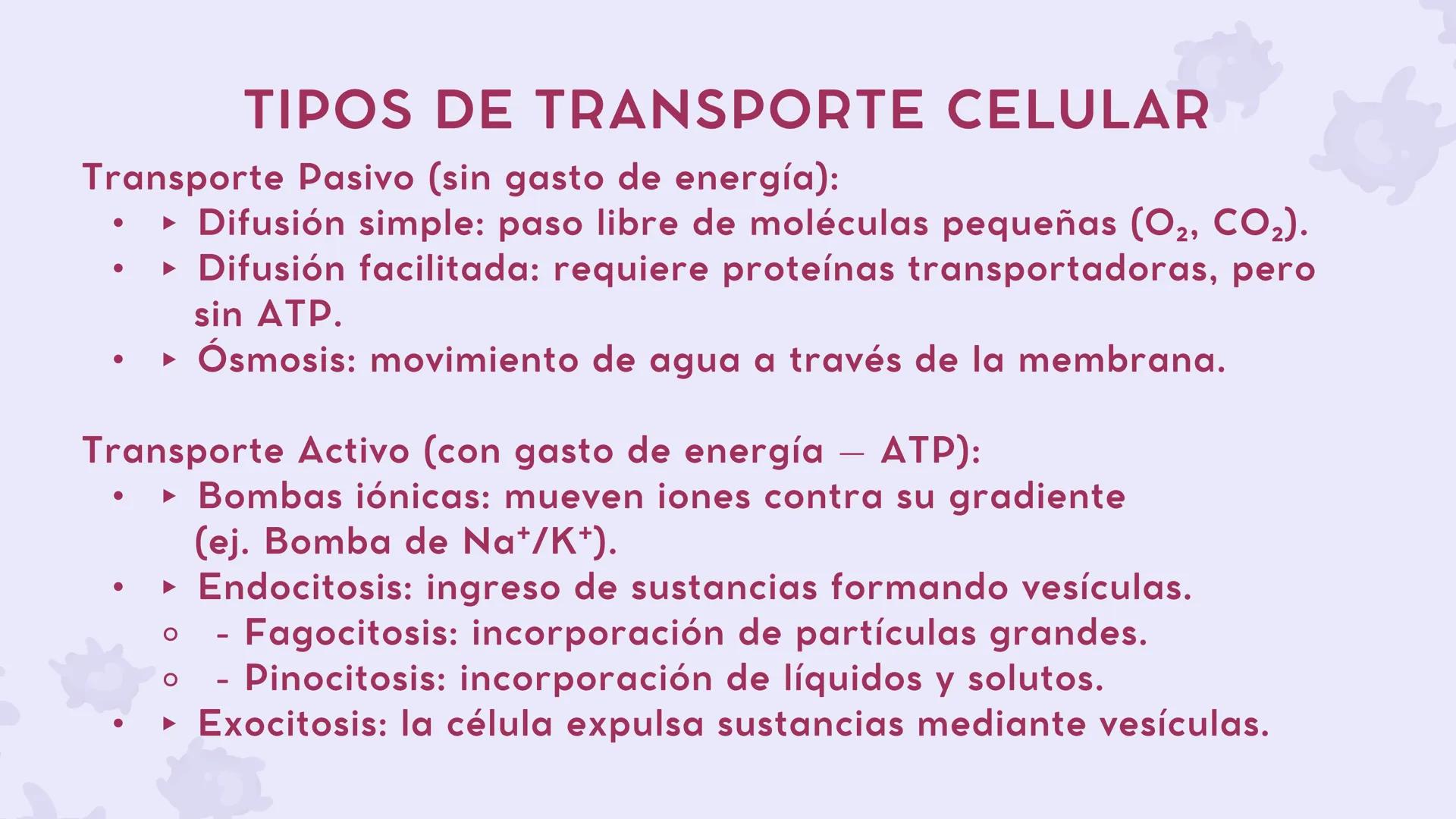 # CAP 03:
# HOMEOSTASIS
Enc.: ERICK F. LUDEÑA A. ### ¿QUE ES LA HOMEOSTASIS?
* Capacidad del organismo para mantener
un ambiente intern