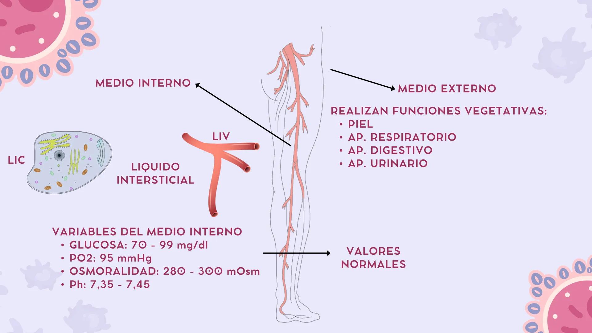 # CAP 03:
# HOMEOSTASIS
Enc.: ERICK F. LUDEÑA A. ### ¿QUE ES LA HOMEOSTASIS?
* Capacidad del organismo para mantener
un ambiente intern