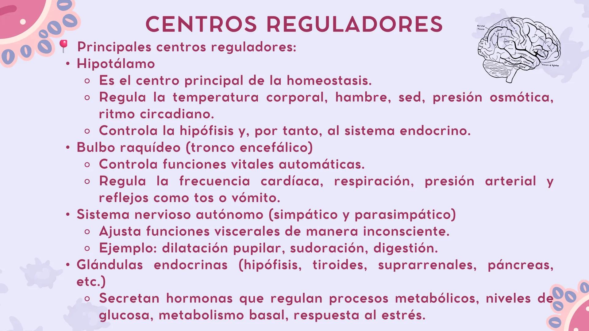 # CAP 03:
# HOMEOSTASIS
Enc.: ERICK F. LUDEÑA A. ### ¿QUE ES LA HOMEOSTASIS?
* Capacidad del organismo para mantener
un ambiente intern