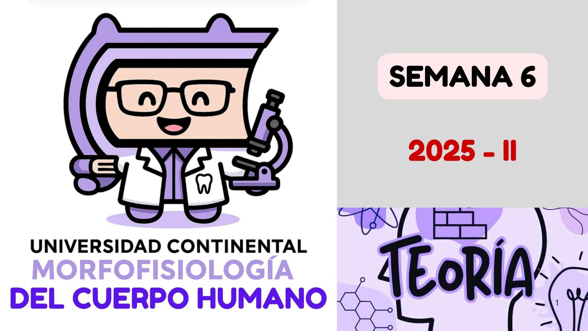# SEMANA 6
2025 - II
UNIVERSIDAD CONTINENTAL
# MORFOFISIOLOGÍA
# DEL CUERPO HUMANO
TEORÍA Morfofisiología del Cuerpo Humano
Propósito: A