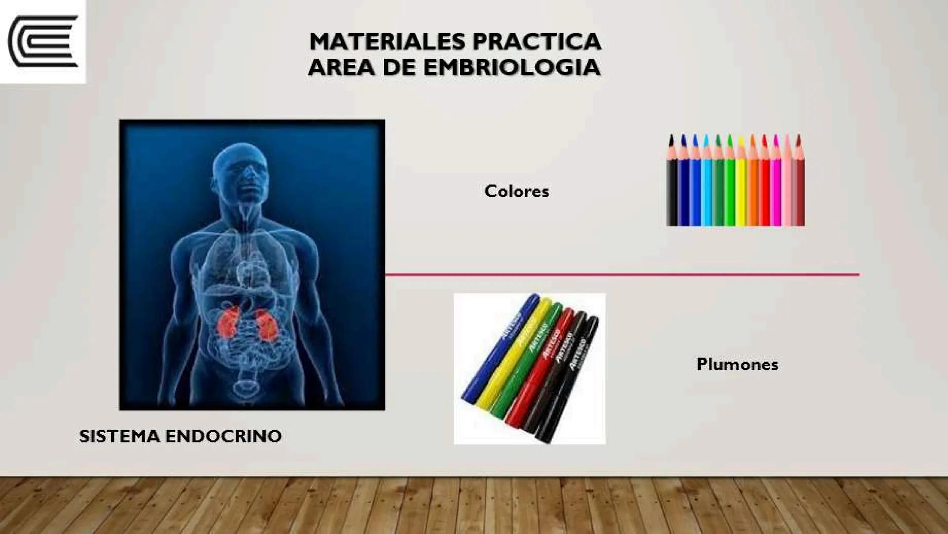 # SEMANA 6
2025 - II
UNIVERSIDAD CONTINENTAL
# MORFOFISIOLOGÍA
# DEL CUERPO HUMANO
TEORÍA Morfofisiología del Cuerpo Humano
Propósito: A