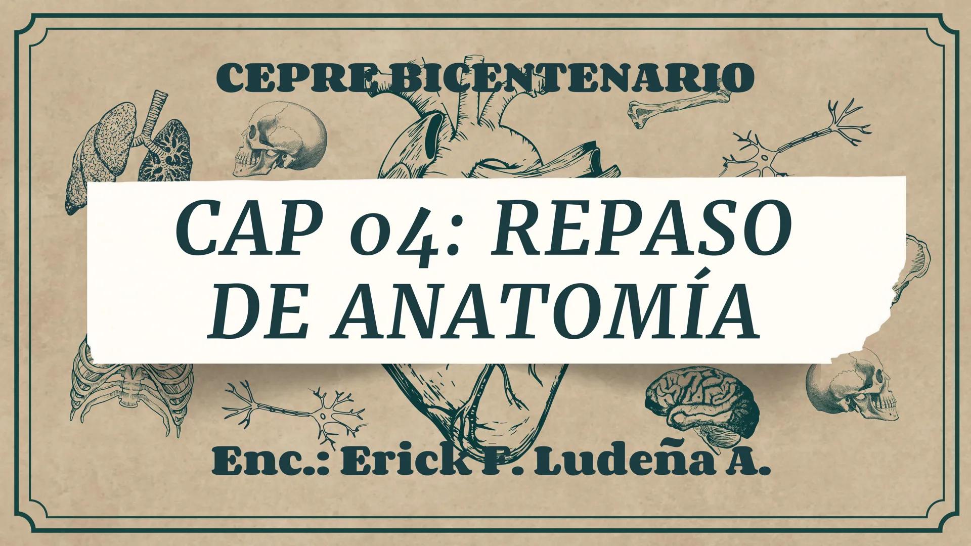# CEPRE BICENTENARIO
# CAP 04: REPASO
# DE ANATOMÍA
Enc.: Erick F. Ludeña A. 1. ¿Qué tipo de tejido forma la epidermis?
A) Muscular liso
B