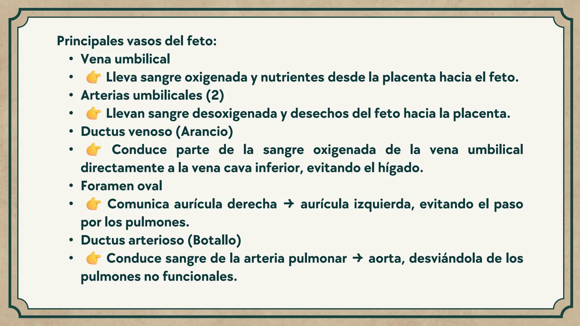 # CEPRE BICENTENARIO
# CAP 04: REPASO
# DE ANATOMÍA
Enc.: Erick F. Ludeña A. 1. ¿Qué tipo de tejido forma la epidermis?
A) Muscular liso
B